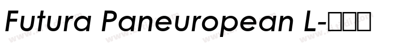 Futura Paneuropean L字体转换